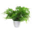 30cm Faux Plant in Pot Liner