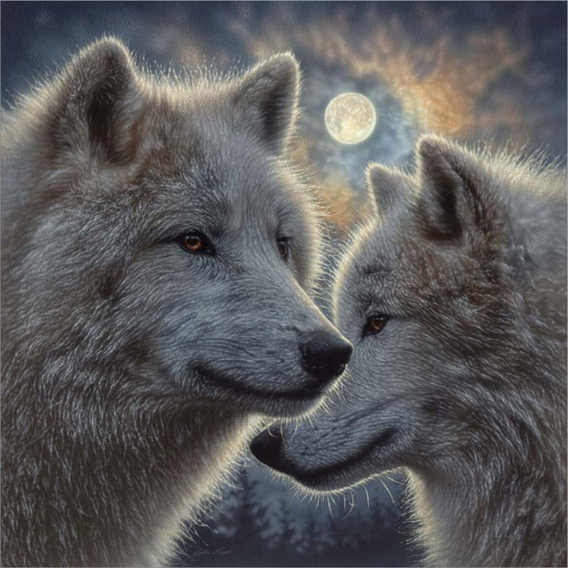 «Moonlight Wolf Mates» par Collin Bogle, art mural sur toile