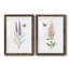 «Wildflower Botanical I», ensemble de 2 reproductions d'art-923653541-923653542-808463890