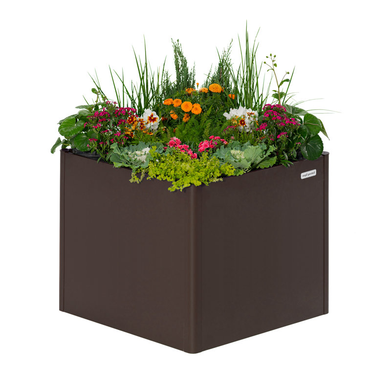 Grande boîte à fleurs d'extérieur moderne en métal de 32 po de hauteur, H 32 po x l 42 po x P 42 po, Umber Brown