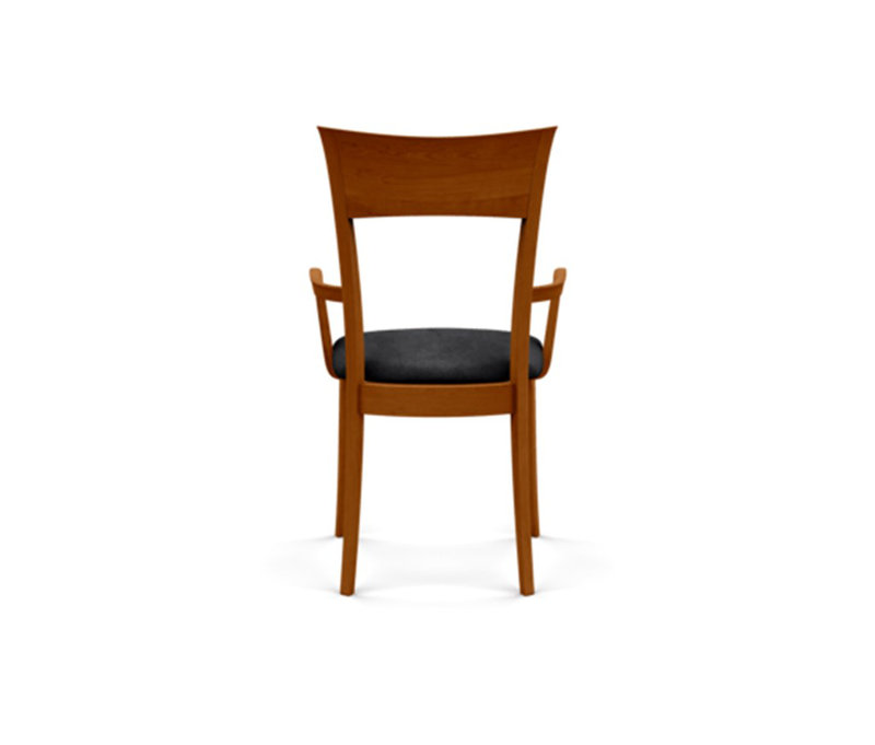 Ingrid Upholstered Arm Chair, Autumn Cherry, Microseude Onyx