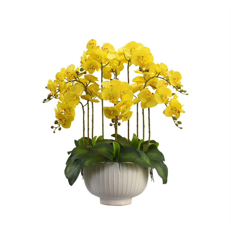 Décoration de salon, salle à manger, fleur, Blanc, Jaune