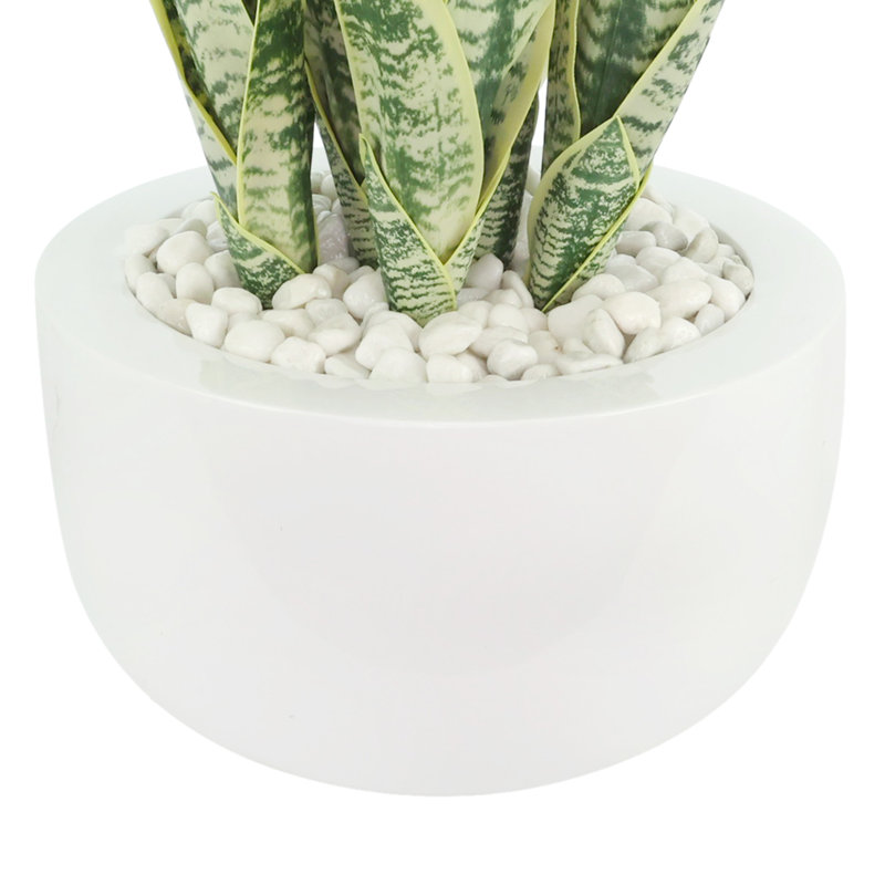 Snake Plant in Fiberstone pot à fleurs avec des roches