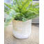 KitchenCraft Bamboo Planter, White Ombré Design