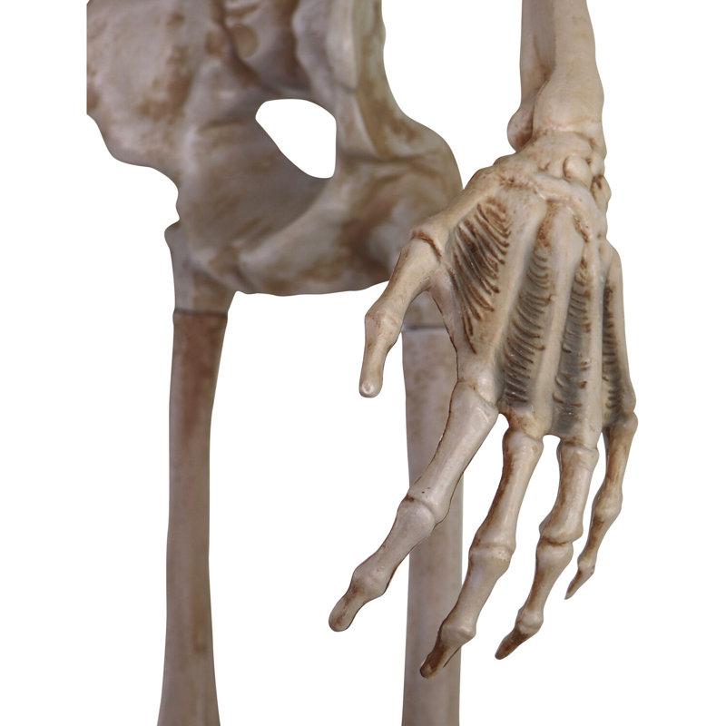 Figurine Skeletons Bones McNeely the Towering