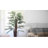 Panama Floor Palm Tree in Planter