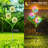 Upgraded Outdoor Lights - Colorful Dandelion Flower Light - Bright Solar Lights With 36 Led For Women Mother's Day Gifts Yard Pathway Outside Decorations