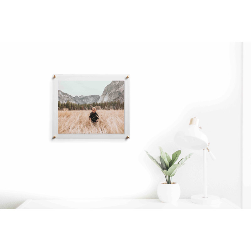 Devian Clear Acrylic Floating Picture Frame, 16" x 20", Gold