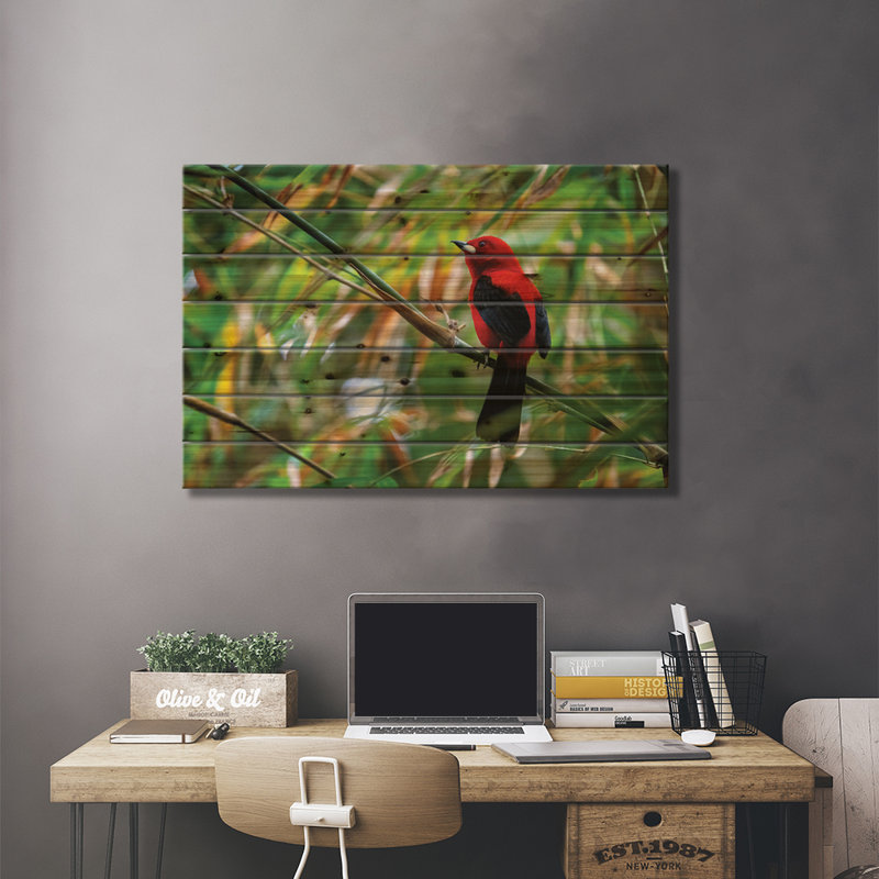 Oiseau tanneur rouge, H 18 po x l 26 po x P 1,5 po
