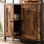 Leidah 2 -Door Accent Cabinet