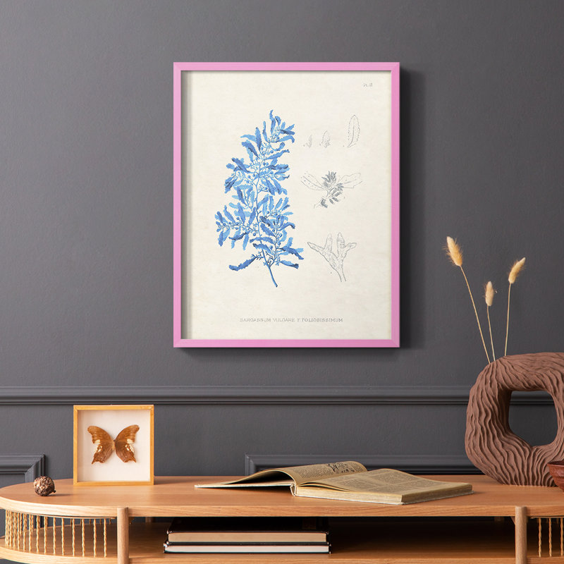 «Blue Marine Algae VI», reproduction encadrée - bois massif, Cadre photo rose simple, H 10 po x l 8 po