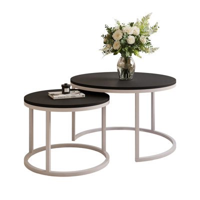 Neika 2 Piece Coffee Table