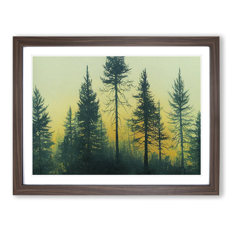 Pine Tree Forest Vol.2 - Single Picture Frame Print, 34cm H x 46cm W, Brown