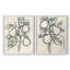 Encre poire branche I - impression encadrée de qualité supérieure - prête à être accrochée - aucun clou requis - aucun clou requis-108019337-108019341
