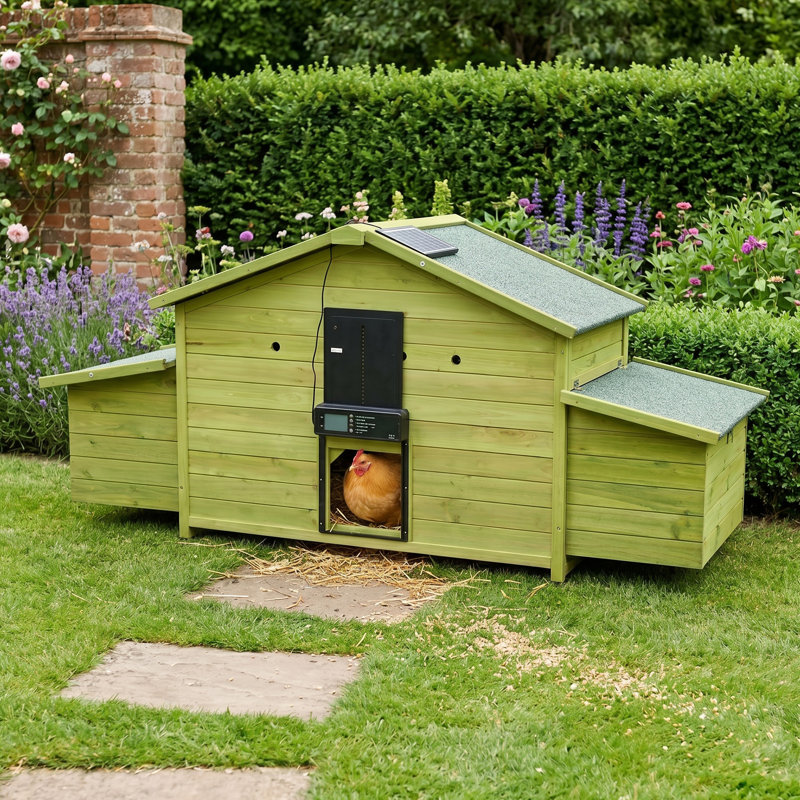 L 70 po x l 28 po x H 32 po - Poulailler - Vert - Bois massif - 1 pièce - À énergie solaire, automatique