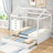 Aucuba Kids-273596211