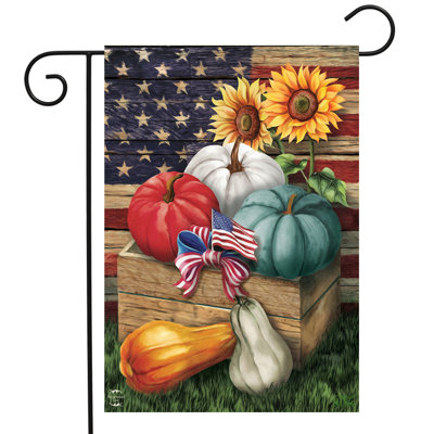 Drapeau de jardin d'automne avec citrouilles patriotiques, 12 x 18 pouces