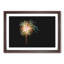 Palm Tree Fireworks - Framed Print-55578356-55578361
