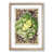 Oak Framed