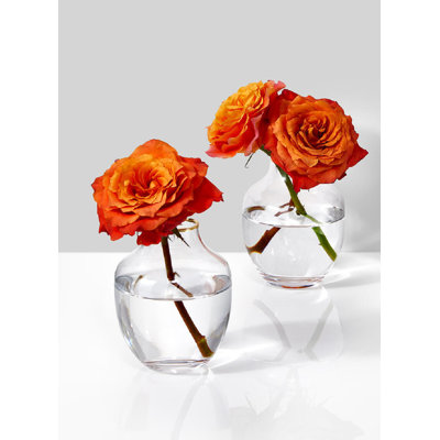 Ensemble de 2 vases en verre à rebord doré Rosdorf Park, décorations rétro pour la maison, le bureau, centre de table de mariage élégant, bibliothèque, décor de foyer, mesure 3,5 po de diamètre et 5 po de hauteur