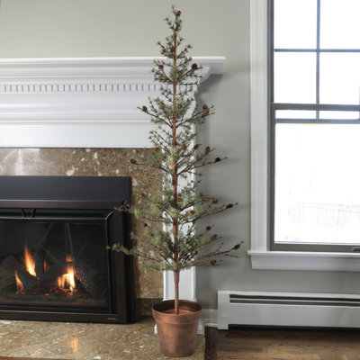 60" Potted Skip Pine Tree Wiith Cone