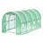 Walk In Greenhouse 
