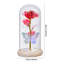 Cloche Or Water Globe-1520010341
