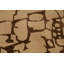 Area Rug in Brown/Dark Brown