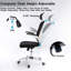 Ludovica 52 cm Wide High Back Mesh Ergonomic Office Chair With Adjustable Headrest, Armrest, Lumbar-383779404