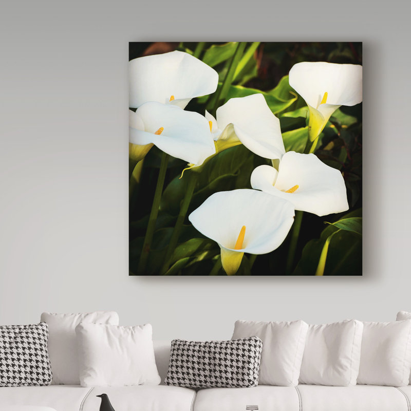 Breonna «Calla Lilies», reproduction de photo sur toile tendue, H 18 po x l 18 po x P 2 po