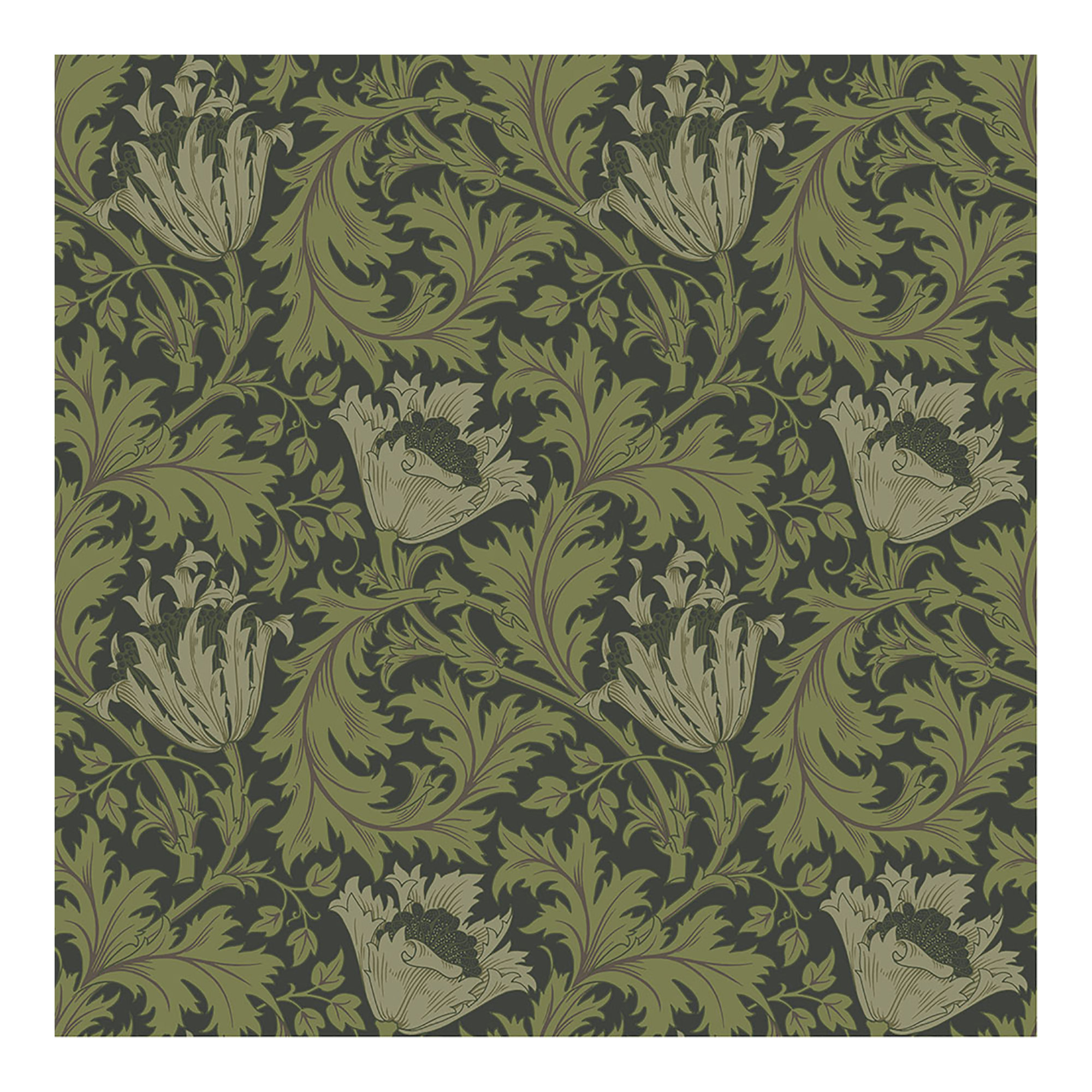 Anemone Floral Wallpaper, Dark Green