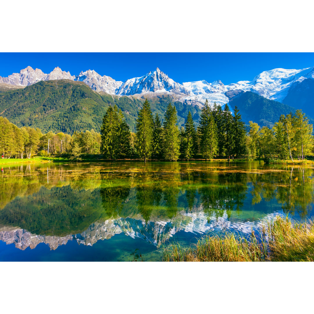 Leinwandbild Die schneebedeckten Alpen und immergrüne Tannenbäume