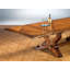 Extendable Solid Wood Dining Table