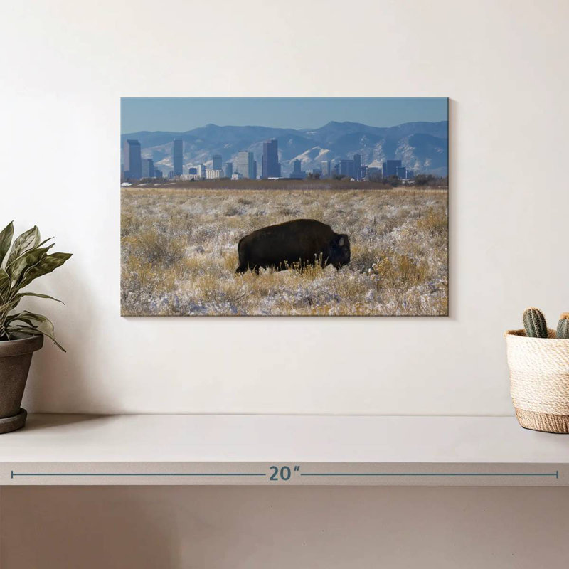Brampt Denver Bison
