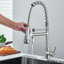Belfry Kitchen Cyron Pull Out Kitchen Faucet