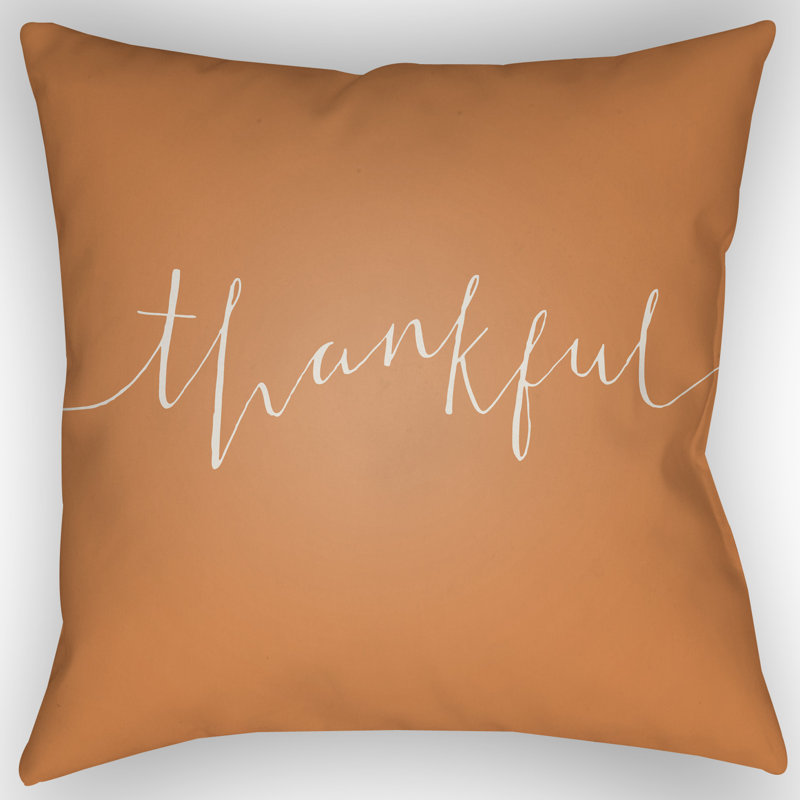 Outdoor Throw Pillow, 20" H x 20" W x 4" D, Orange/White