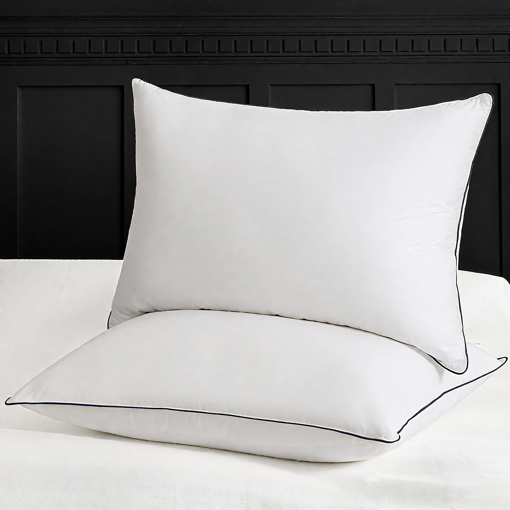 ValenciaLuxe Sleeping Goose Down Plush Support Pillow (Set of 2) & Reviews | Wayfair