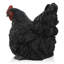 Chicken Animals Garden Statue-95852216