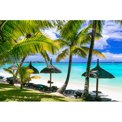 Beautiful Palm Beach - Wrapped Canvas Print