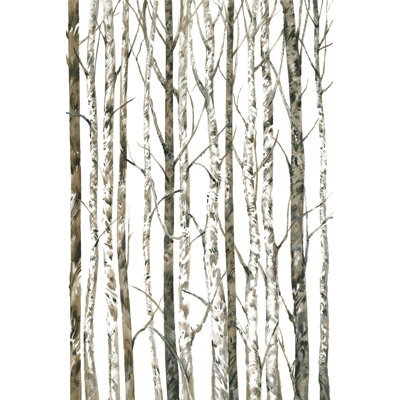 'Bare I' by Timothy O' Toole - Wrapped Canvas Painting Print