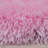 Performance Indoor Rug-18773993