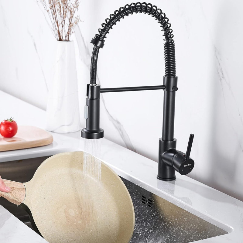 Brayden Studio Kitchen Faucet