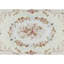 Aubusson Renaissance Hand Knotted Wool Oriental Area Rug in Natural/Brown