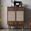 Armoire à chaussures populaire et pratique