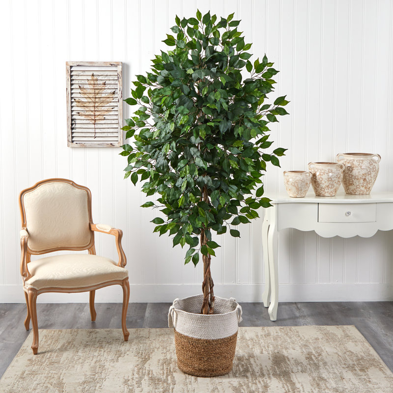 Ficus artificiel 72 po en pot, H 72 po x l 24 po