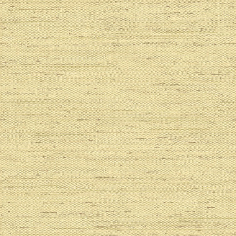 Rouleau de papier peint L 33 pi x l 20,5 po Natural Elements, Beige / vert doux / brun