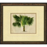 Small Crackled Horizontal Palm III Painting