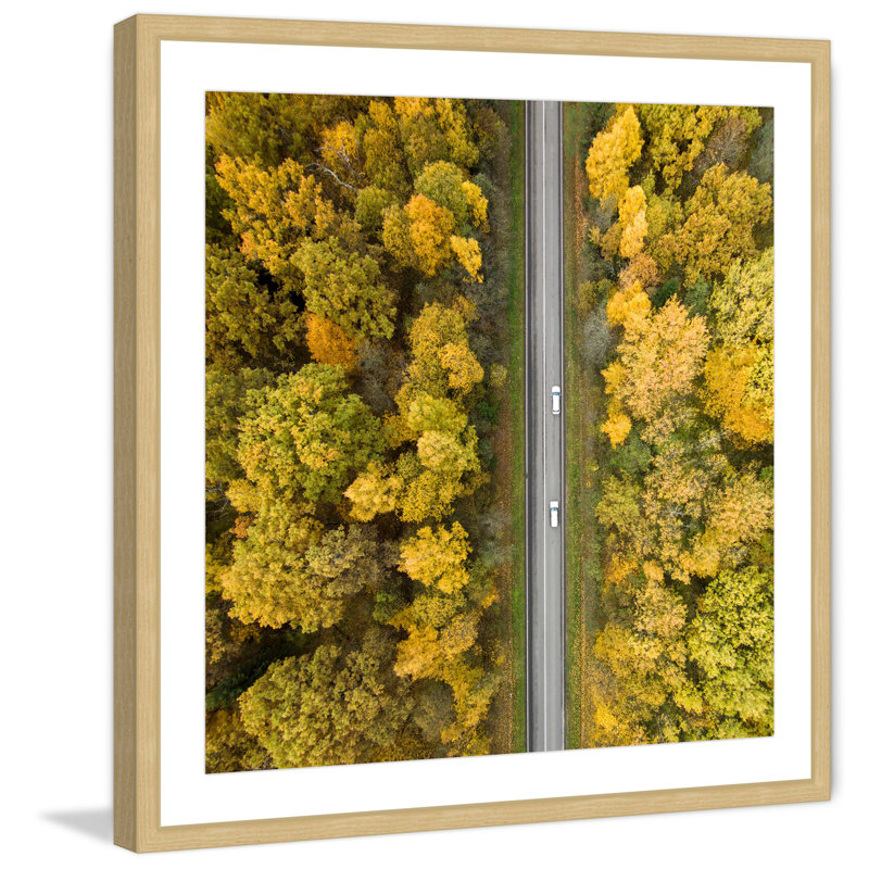 « nature road » par karolis janulis, reproduction de photo encadrée, H 12 po x l 12 po x P 1,5 po