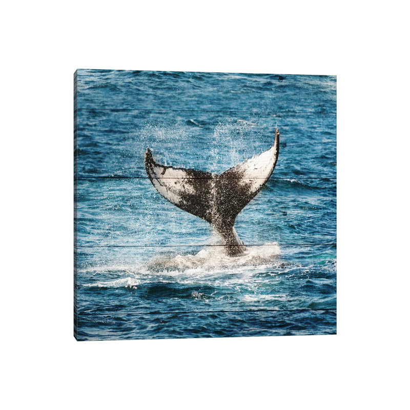 Tails Of The Whale by Sheldon Lewis - Wrapped Canvas Gallery-Wrapped Canvas Giclée, 30.48 cm H x 30.48 cm W