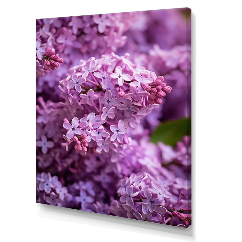 «Lilac mauve», reproduction sur toile, Toile tendue, 32" H x 16" W
